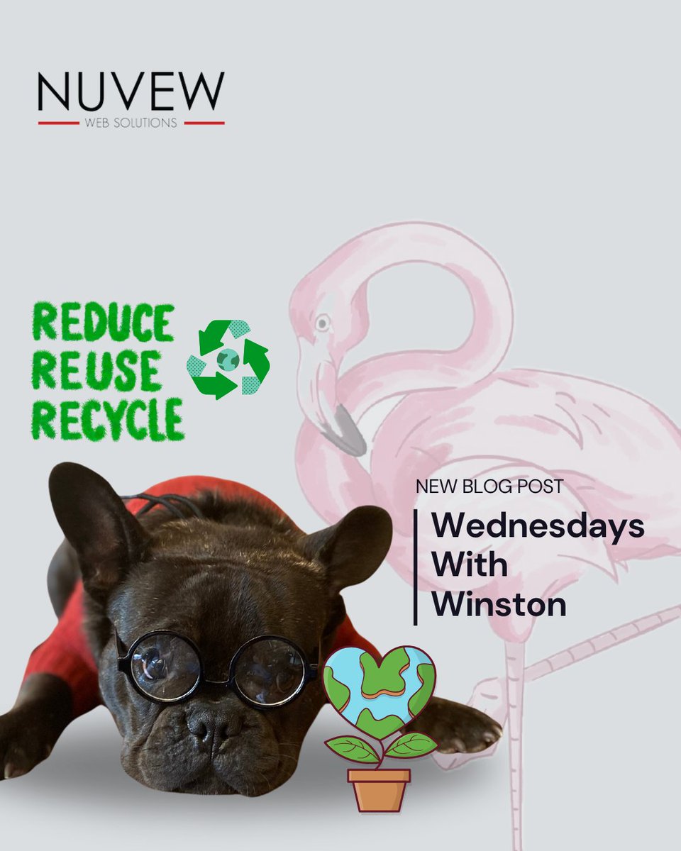NUVEW Web Solutions tweet media