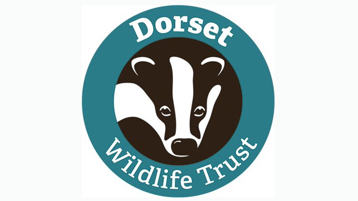JCPinDorset's tweet image. Nature Based Solutions Team Assistant, Part Time (18.5 hours per week) for @DorsetWildlife #Dorchester DT2 7AA

Further information and application details ahead of the closing date on Wednesday 29 April please click the link below:

ow.ly/PYJG50YKiMm

#DorsetJobs