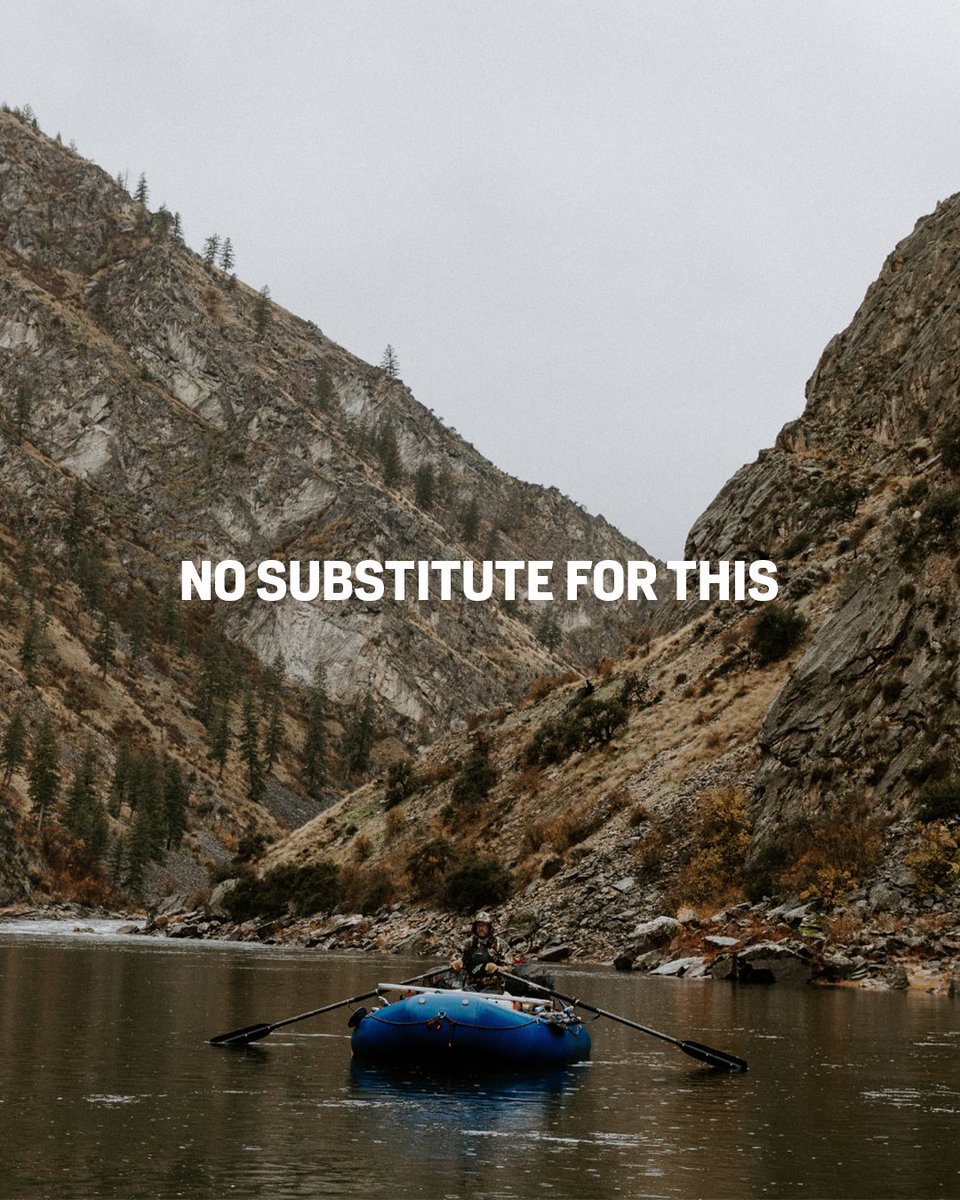 First Lite tweet media