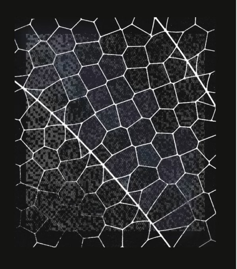 Pirat_Nation's tweet image. Mozilla has patched 271 vulnerabilities in Firefox after using Anthropic’s Claude Mythos Preview AI model to scan its codebase.

Part of Anthropic’s cybersecurity-focused Project Glasswing, the AI identified these issues with performance that matched human-level capability across