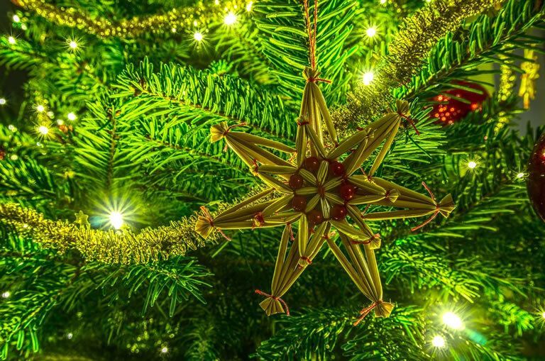 underxmastree's tweet image. Eco-friendly Christmas? Yes, please 🎄♻️ Less waste, more mince pies. Have a peek at our greener festive tips 👇
underthechristmastree.co.uk/eco-friendly-c… 
#Christmas #EcoFriendly