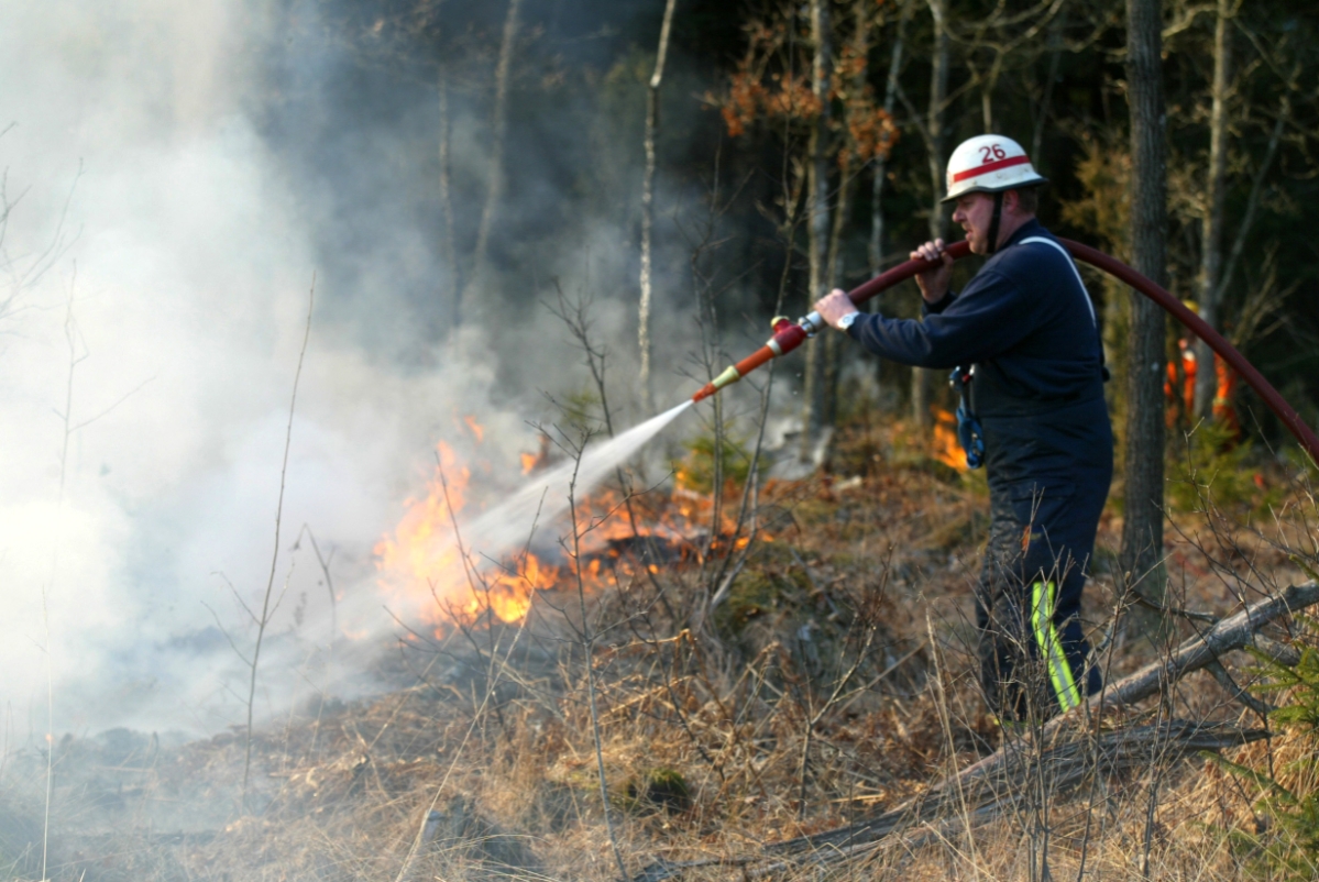 Dagens Västervik tweet media