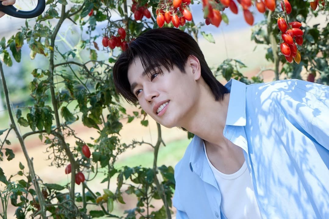 Thi Ri Zaw🌷 tweet media