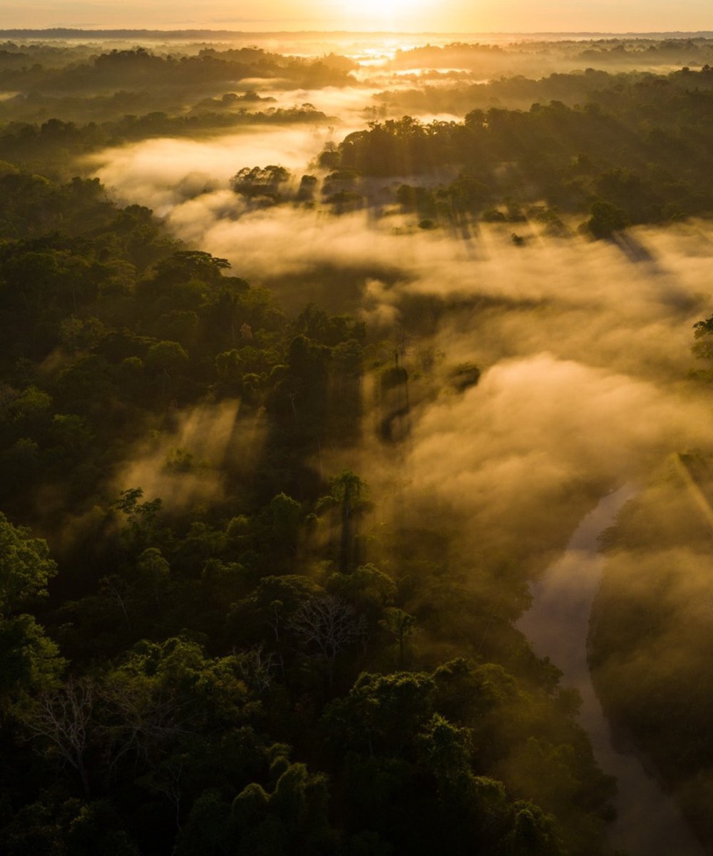 andesamazonfund's tweet photo. Happy Earth Day from the Andes Amazon Fund team! 🌎

Today and every day we celebrate the intricate and fragile web of life we are all a part of.

These images remind us of the breathtaking beauty of some of the areas our partners have been working to protect in the Andes-Amazon. https://t.co/2eQnMSFyDy