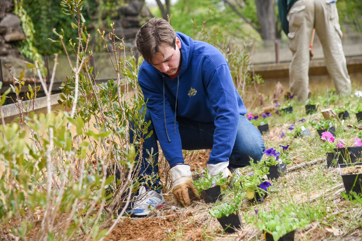 Maryland Zoo tweet media