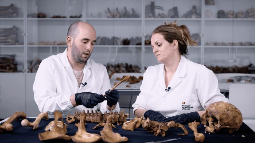 UDivulga's tweet photo. La Facultat de Medicina de la UVic-UCC participa en l’estudi de 33 restes humanes del segle XVIII trobades a l’església de la Congregació dels Dolors de Vic. 
La recerca aporta nova informació sobre l’origen i les característiques dels individus.

👉https://t.co/Iks21itoSt https://t.co/uNDel0Yapv