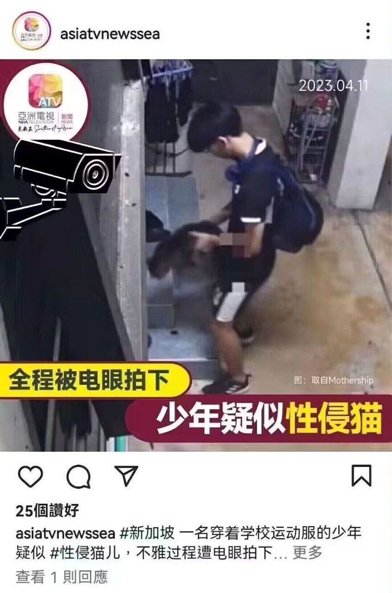 沐安ねこ tweet media