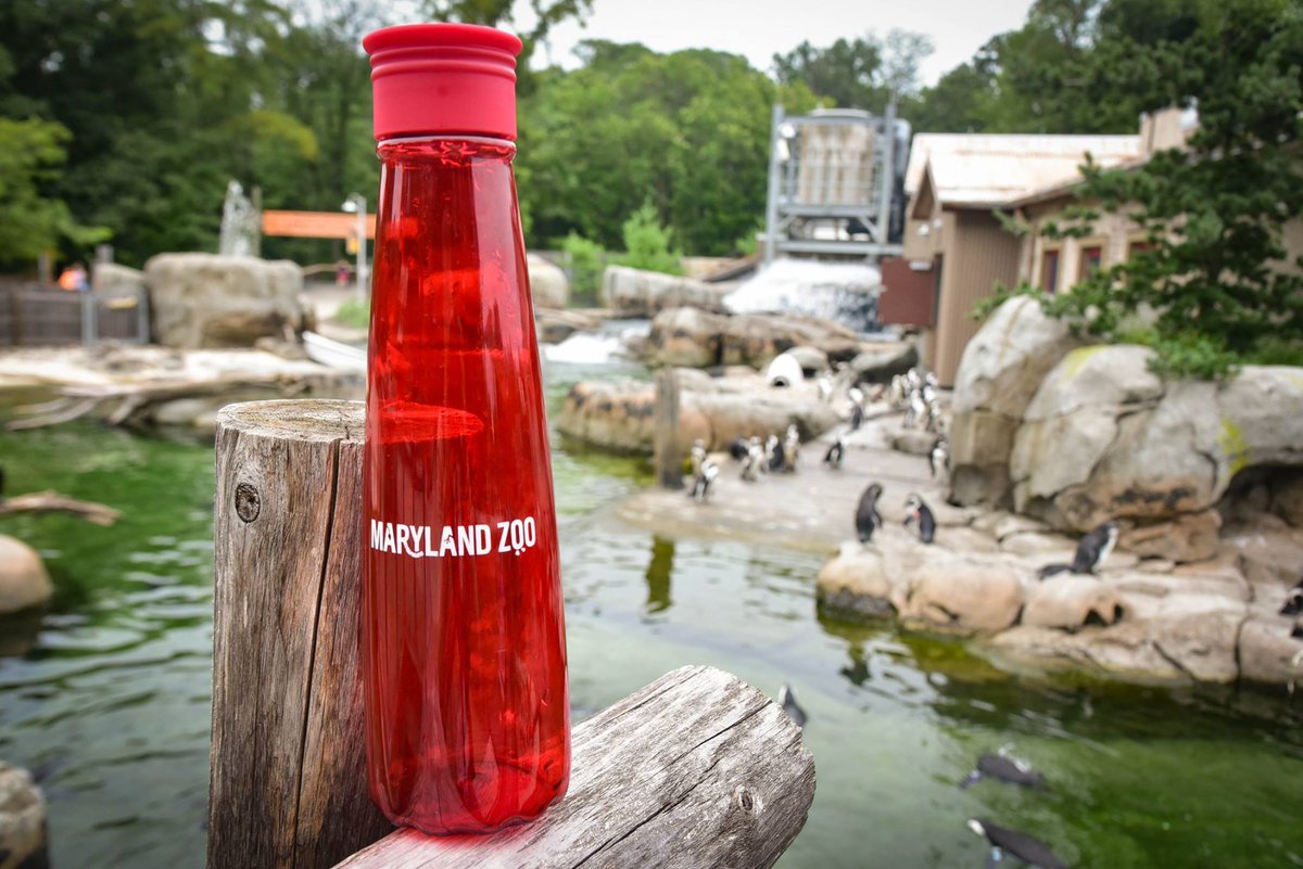 Maryland Zoo tweet media