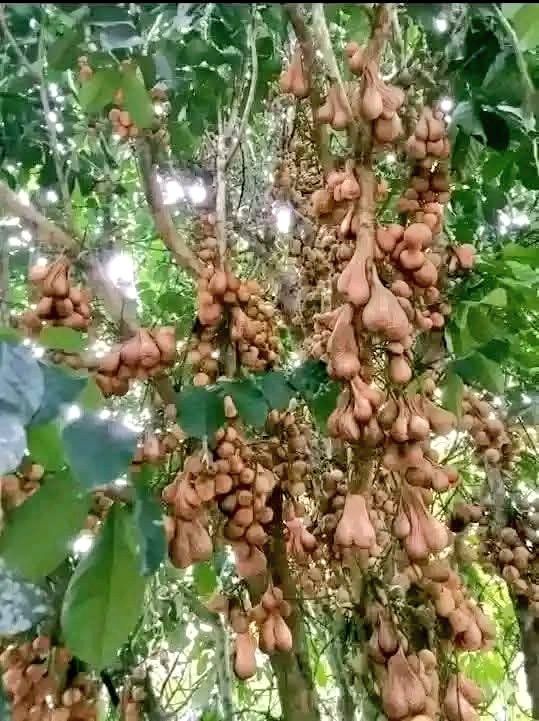 عائزے_رومان tweet media