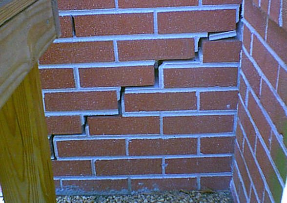 Wealth Austin tweet media