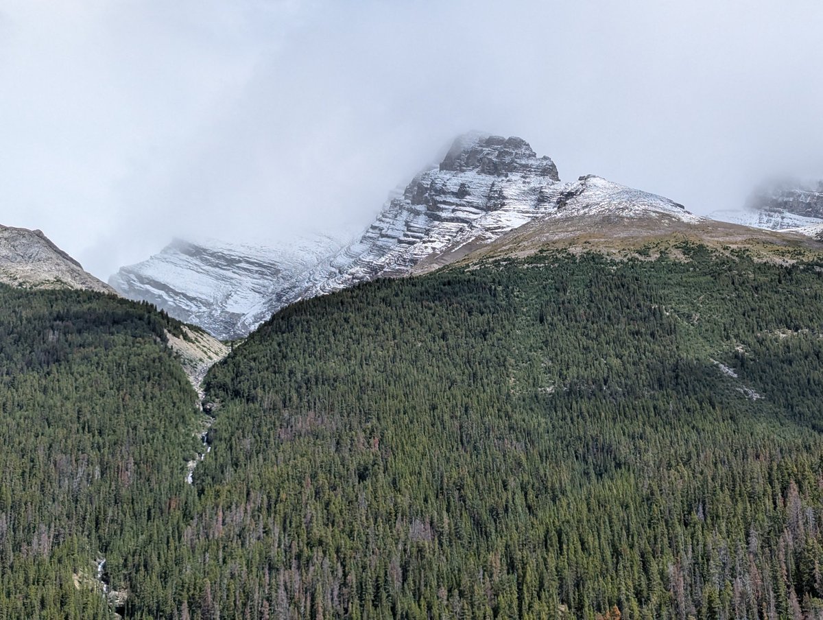 Grampa1950's tweet image. Grampa says: From forest floor to mountain top, every layer matters.
Protect it. Respect it. Celebrate it. #EarthDay 
QP or Share your Earth Day nature photography