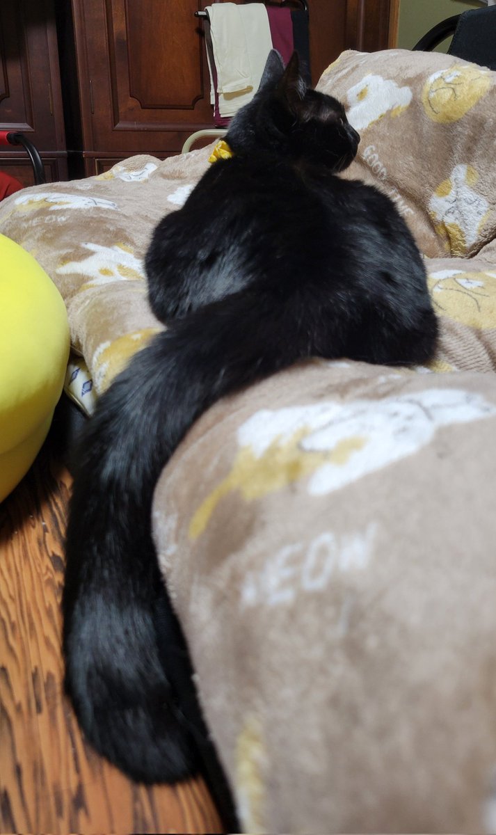 ぱっく tweet media