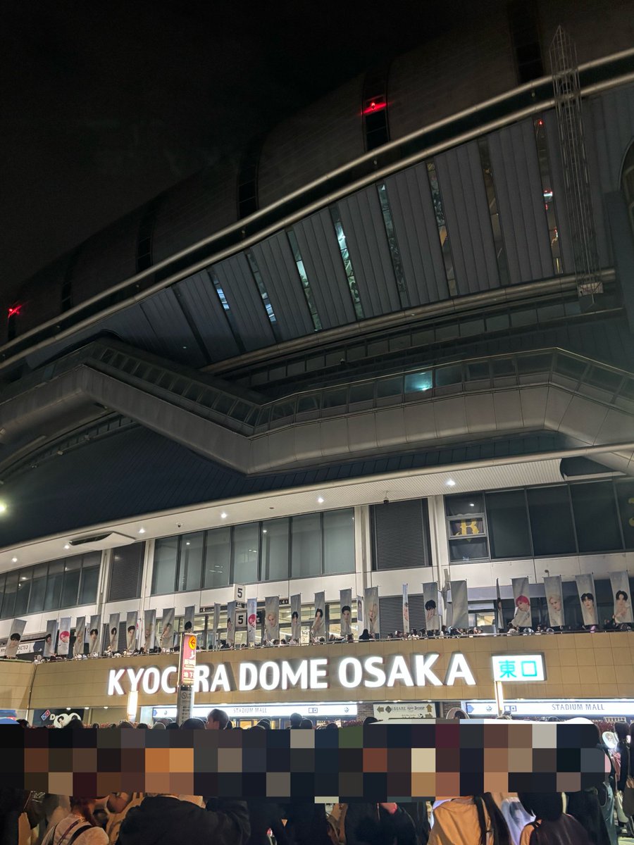 miki👑🌱 tweet media