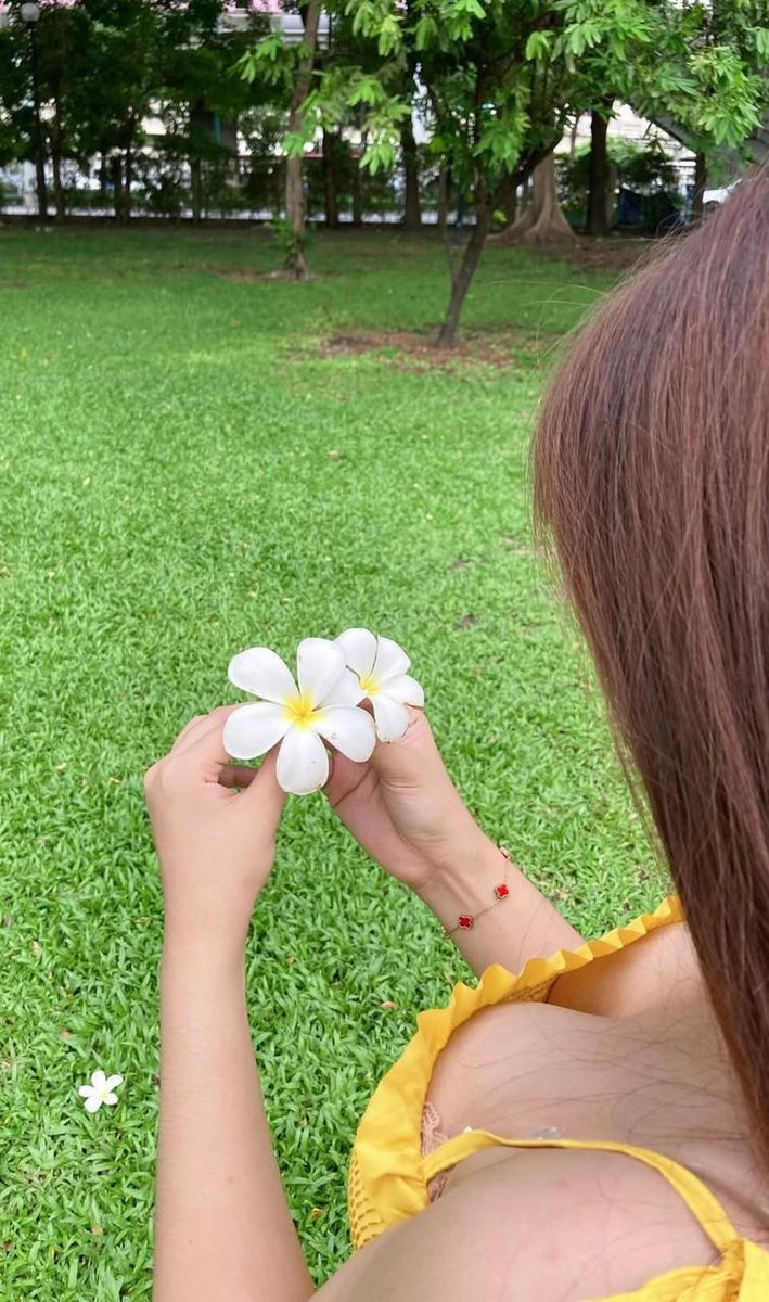 King Dice รับจ้างวิจารณ์เสียว tweet media