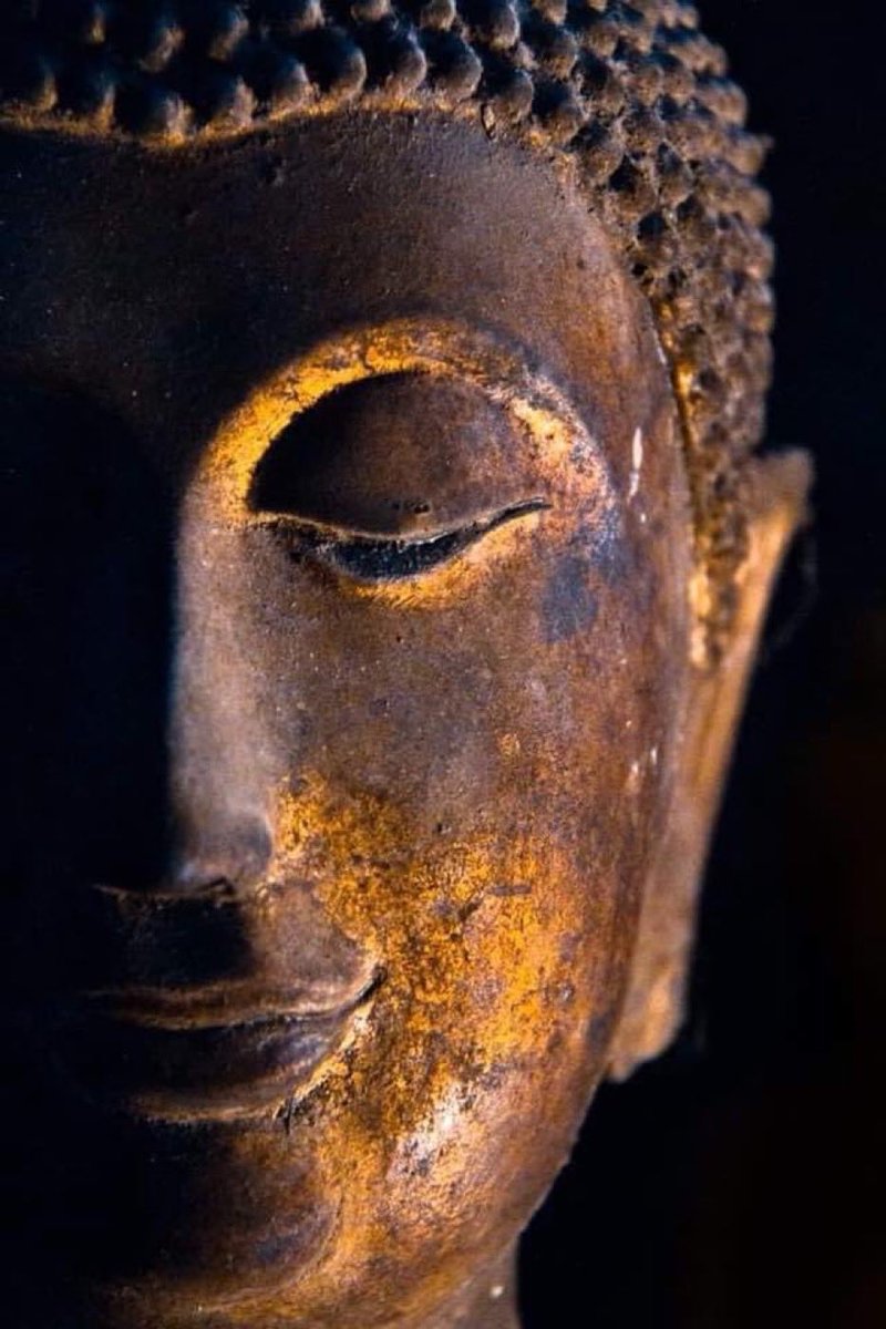 “Do not ask me where I am going, as I travel in this limitless world, where every step I take is my home.”

~ Dōgen