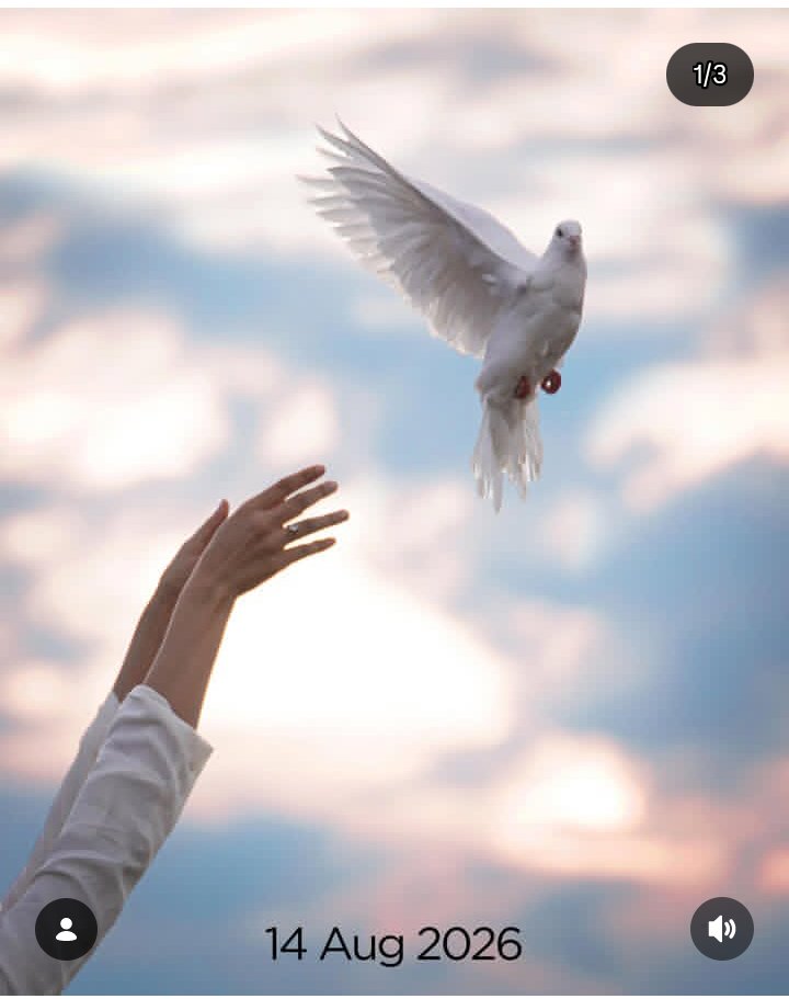 Taimoor94225232's tweet image. Disha Patani official Instagram account post awarapan 2 date announce 14 Aug 2026
#awarapan #for