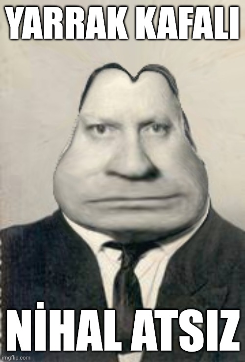 öylesine tweet media