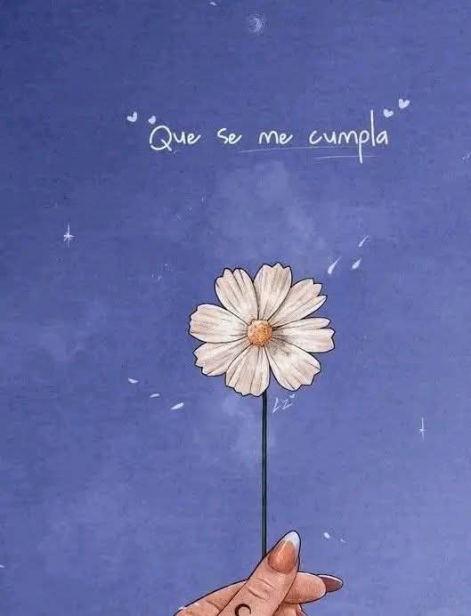 Nancy Sanz tweet media