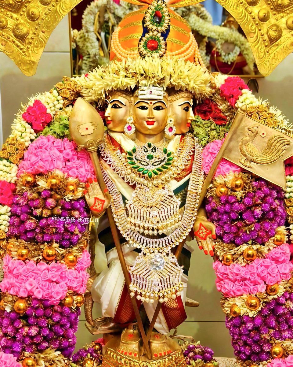 Tiruchendur Sri Arulmigu Subrahmanya Swamy tweet media