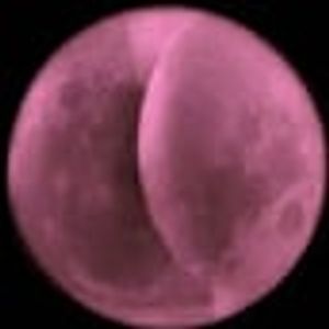 GheiWill tweet media