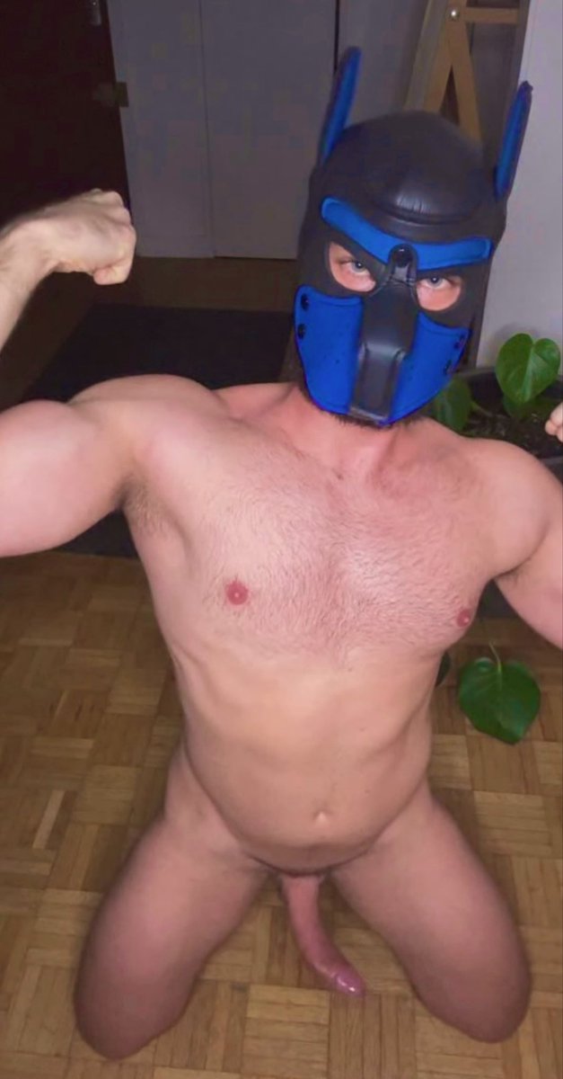 My sub is ready to be caged. How many days?
Repost = 2 days
Comment = 1 day
Like = 6 hours
