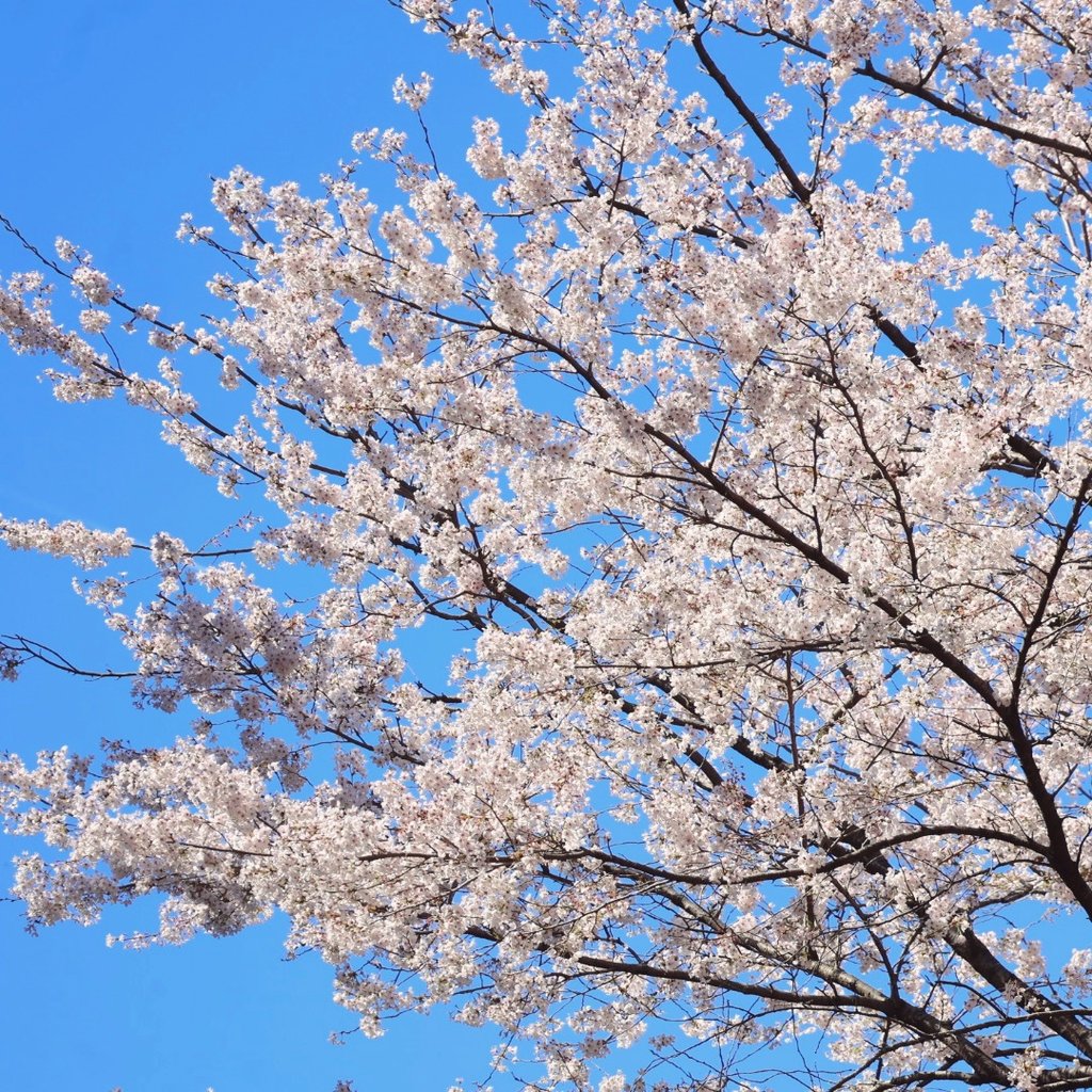 名無しでいいや tweet media