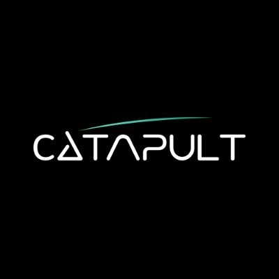 Everyone’s still hunting the next 10x. but @letsCatapult is flipping ...