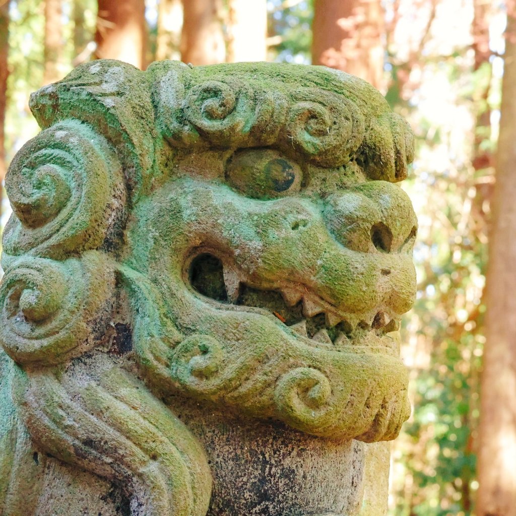 名無しでいいや tweet media