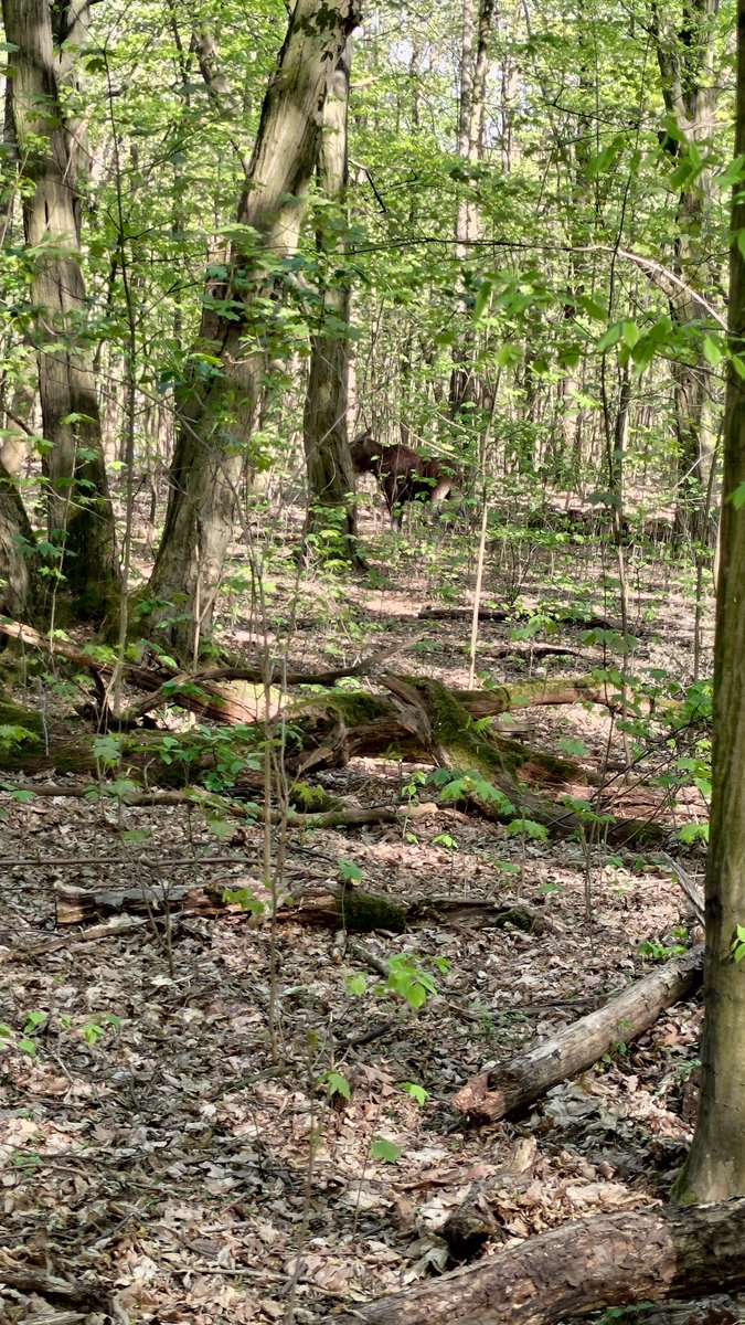 Biblioteka UKSW tweet media