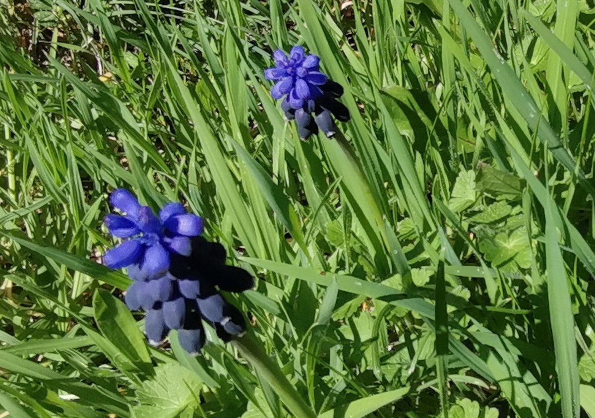 NewBertrand's tweet image. In the brightness of your #eyes,
appears,
the light of 
your #Soul.