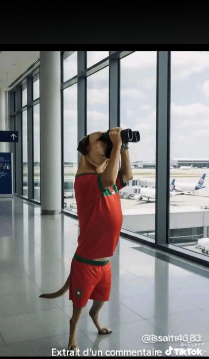 Staifi Khalil tweet media