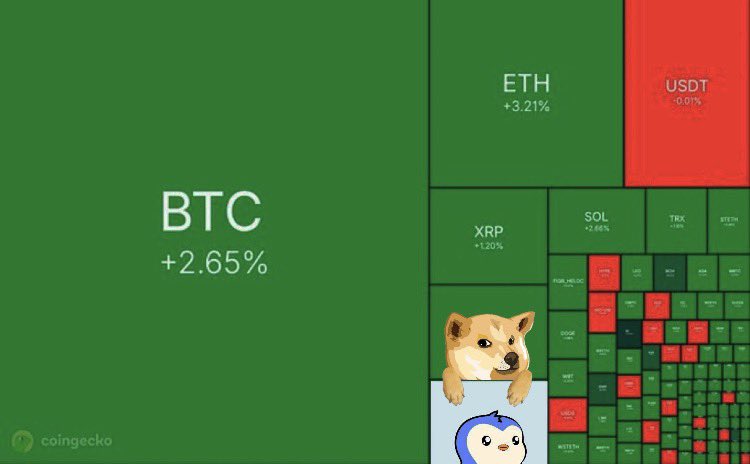 vertti 💛🐕 tweet media