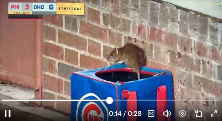 Jeremy Cox tweet media