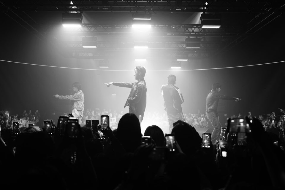 🌰🦍💬 tweet media