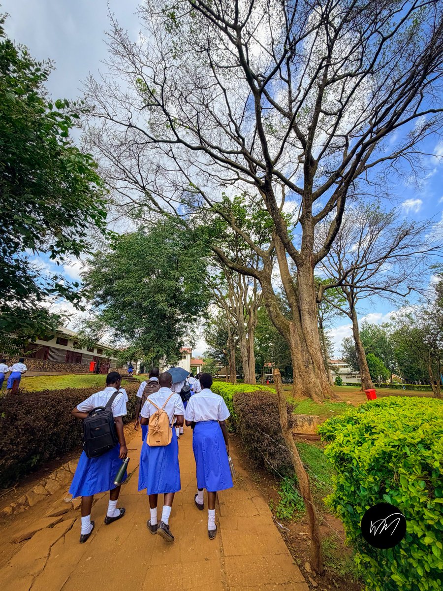 WATSEMBAMIRIAM's tweet photo. Something about the big old trees in Uganda’s traditional schools.
They have my whole heart & storage space!
📍: Tororo Girls School, Uganda.
#documentaryphotography
#everydayuganda
#everydayafrica https://t.co/EXTTU1EjjJ