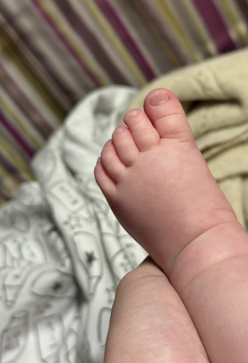 زيـَـاد tweet media