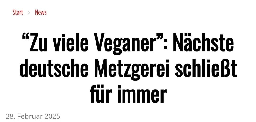 𝙎𝘼𝙆𝙄 🗯 tweet media