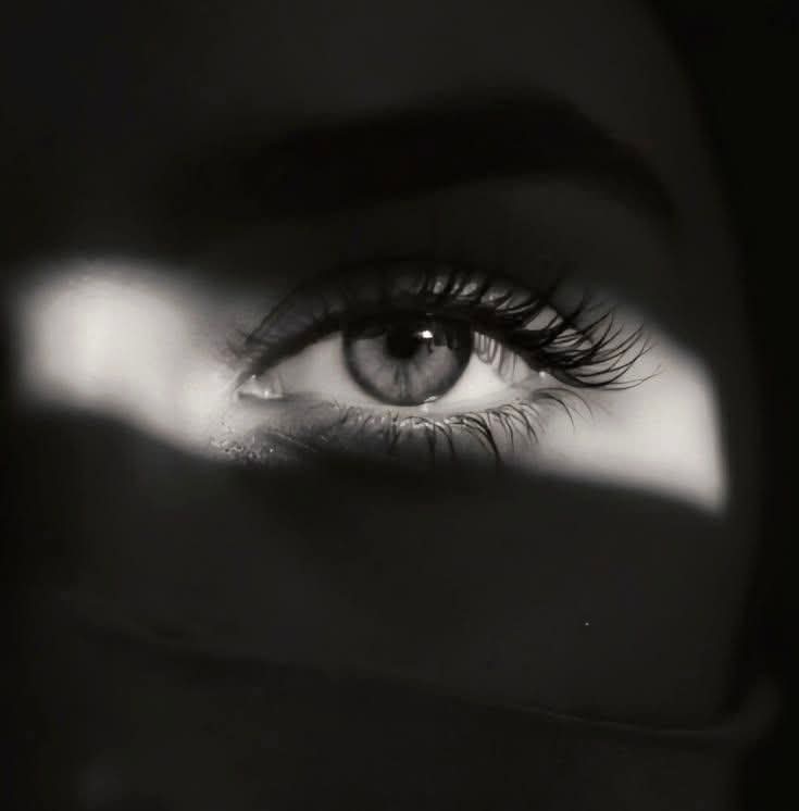 ‏♛زٍهےـِرةّ ٱلَجَےـنٌےـوٌبّےـ ـ♛ tweet media