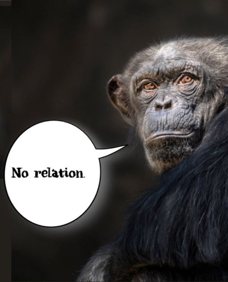 Ren Bitoni tweet media