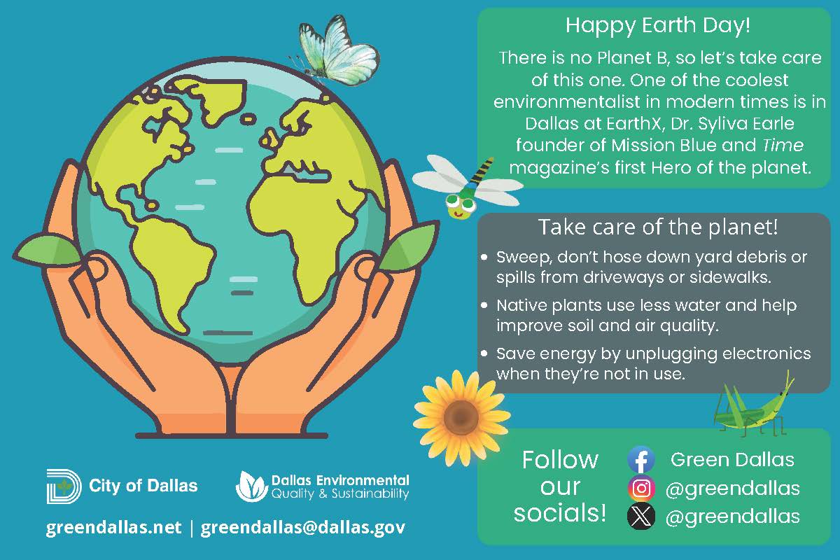 Green Dallas tweet media