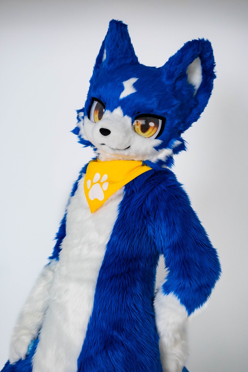 koujifurry's tweet photo. 輝二二、ついに正式登場！
@Furry_Lutz  
連絡や毛毛（着ぐるみ）制作の手配まで、最初から最後まで丁寧に対応してくれて本当にありがとう!

StarFire奇幻工坊さんもありがとうございます！
輝二二をこんなに素敵に仕上げてくれて、完成度は想像以上でした！
@fur_starfire 

繪製:
@mako_makotoo https://t.co/OZfccpFDaM