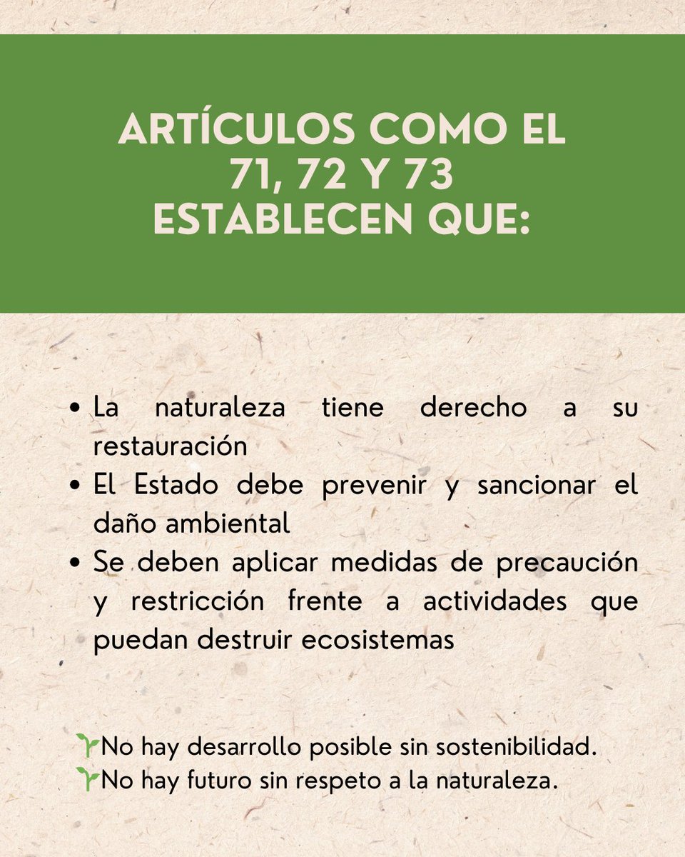 AECIP tweet media