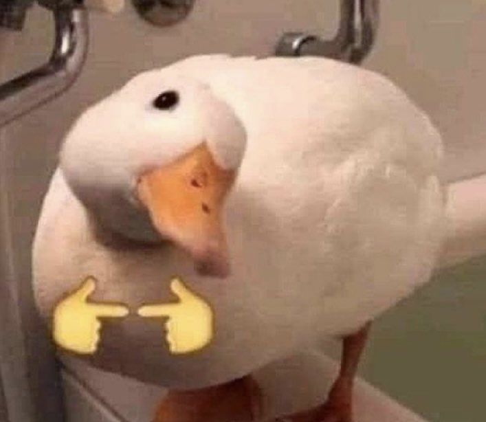 gay chicken enjoyer tweet media