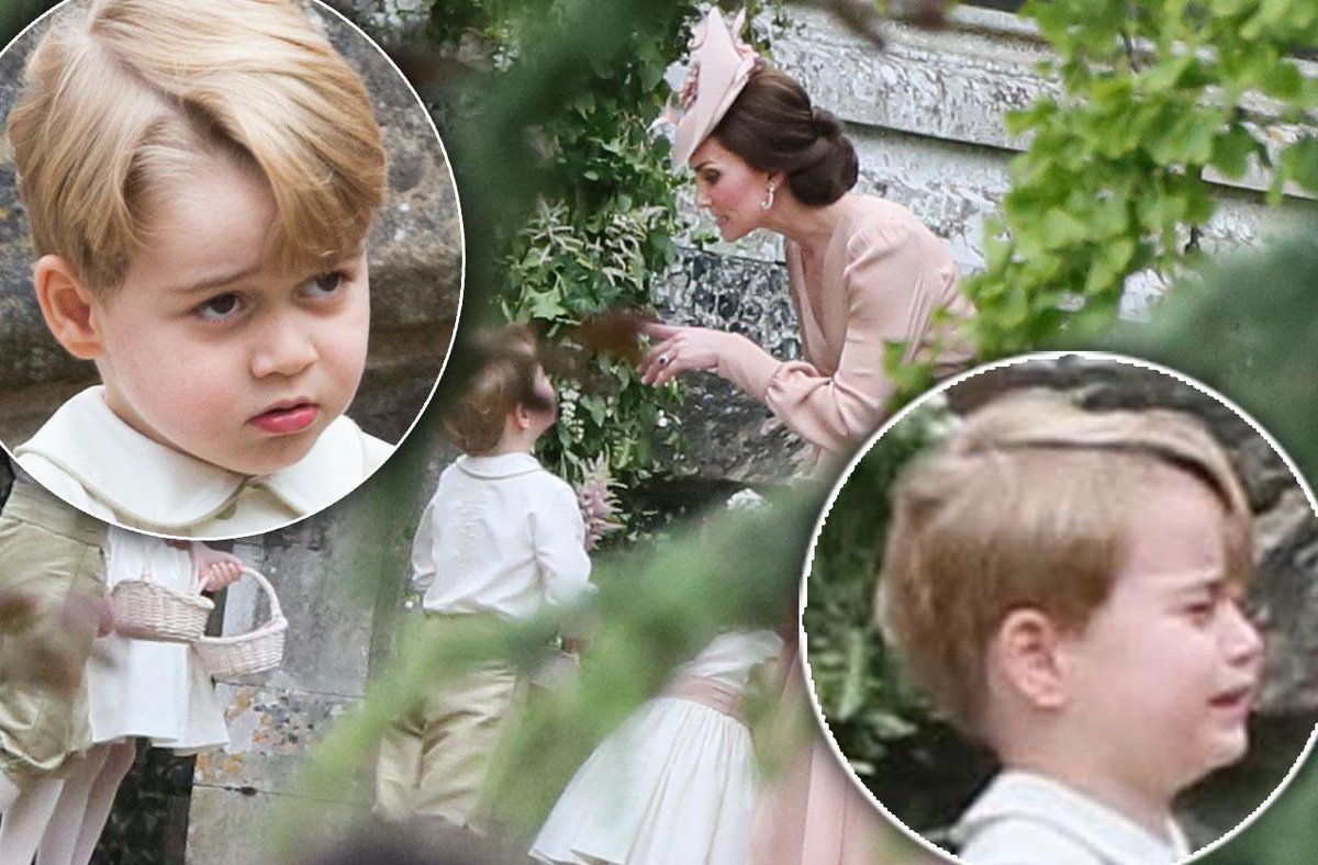 Inge Kersten 🏳️‍🌈🍉 tweet media