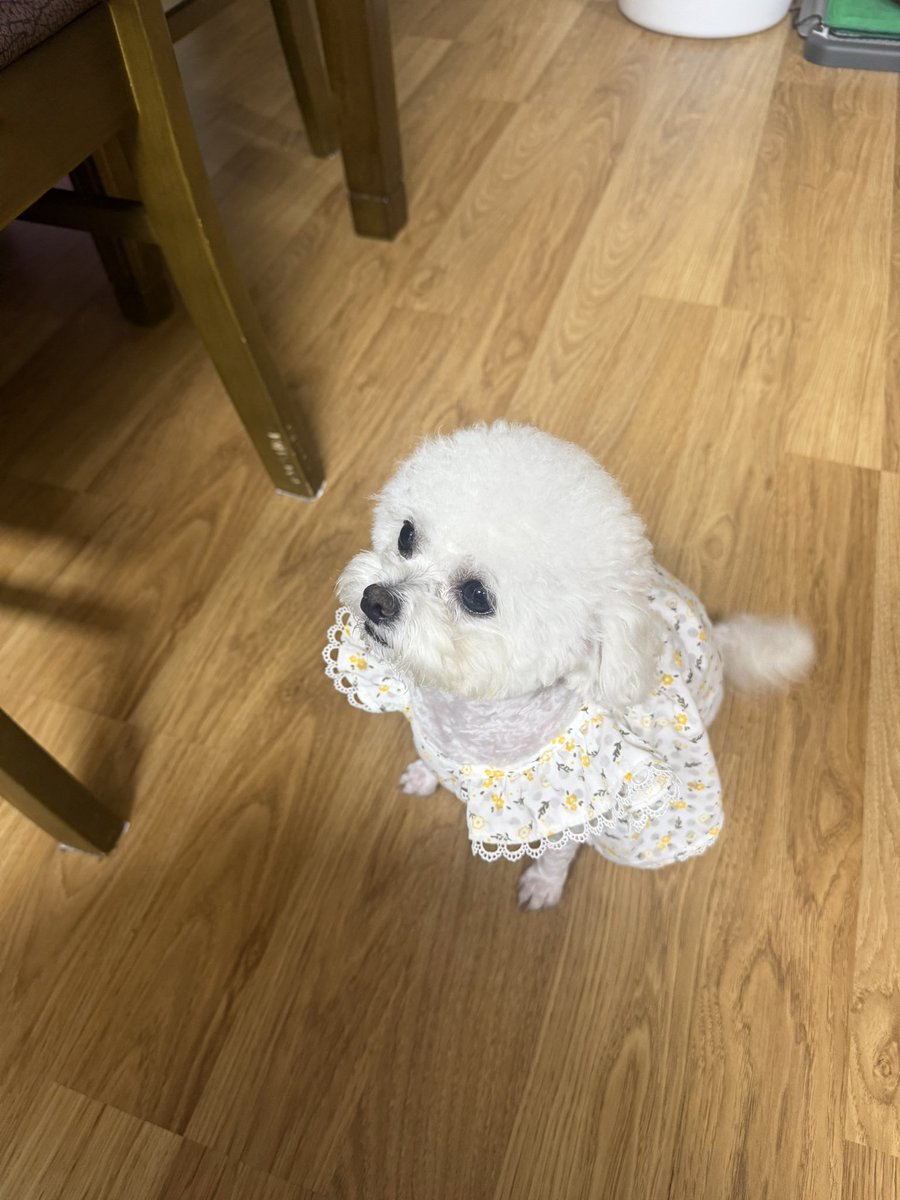 김탁호 tweet media