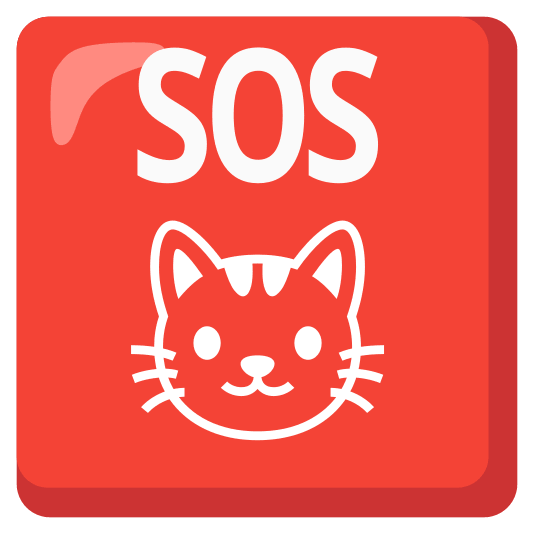 Animal Friends Shelter tweet media