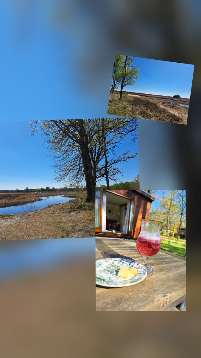 Boek is uit, relaxed fietstochtje gemaakt en ik sluit de (mid)dag af met een guilty pleasure en een stapel kaarten. Wat ga ik morgen doen als ik fit genoeg ben. 1. Kroondomein, 2. Randmeren en weidevogels of 3. ander goed idee, verras me.
