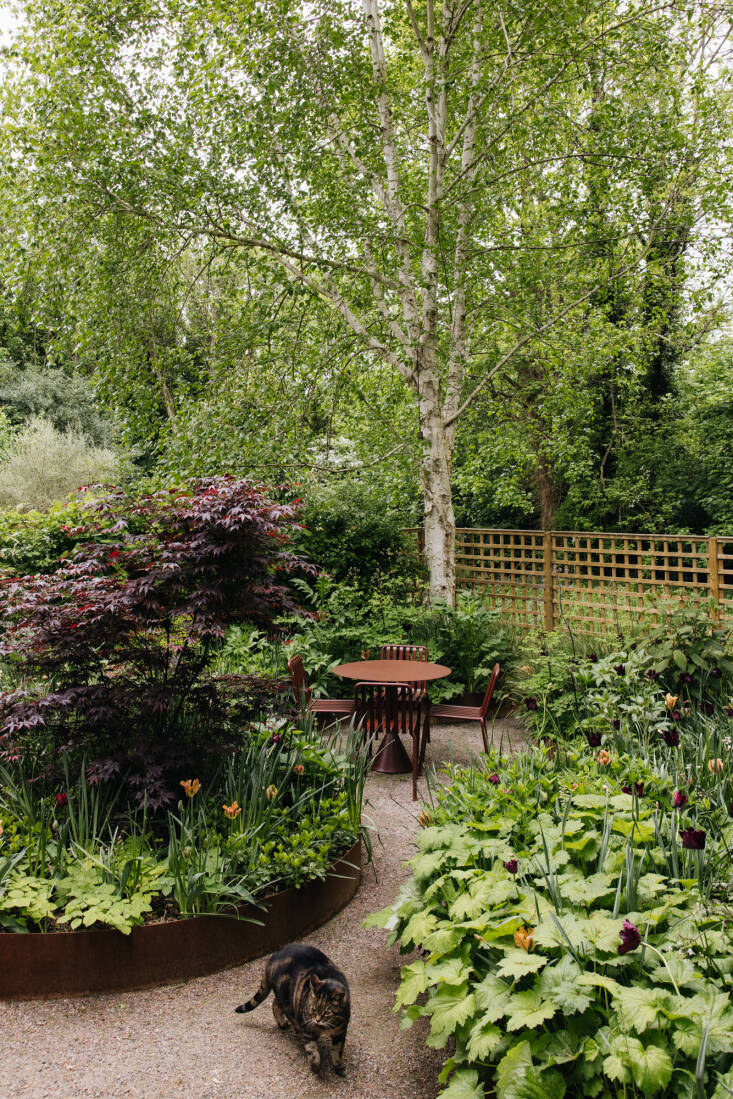 DustinMPeyser's tweet image. Meanwhile, On Gardenista: The Messy Garden dlvr.it/TS9NcW 👉 Reveal Your ROI bit.ly/MyHomeAI 👈 #GardenDesign #MessyGarden #GardenInspiration #PollinatorFriendly #WildMeadow
