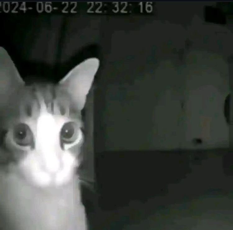 notreallybrave's tweet image. fuck I have to go to campus tmrw how do I dropout and focus on bylering out #imjustkidding #ineedjob #ilovebylertho