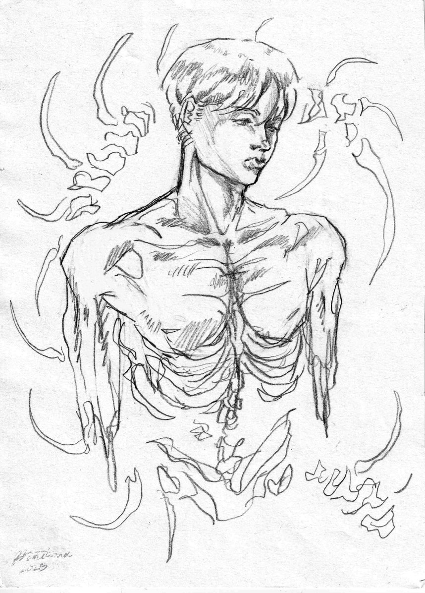 Himationa's tweet image. I love spines and ribs and I know I'm overusing them but WHO CARES
#arminarlert